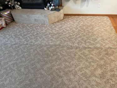 Carpet Cleaning