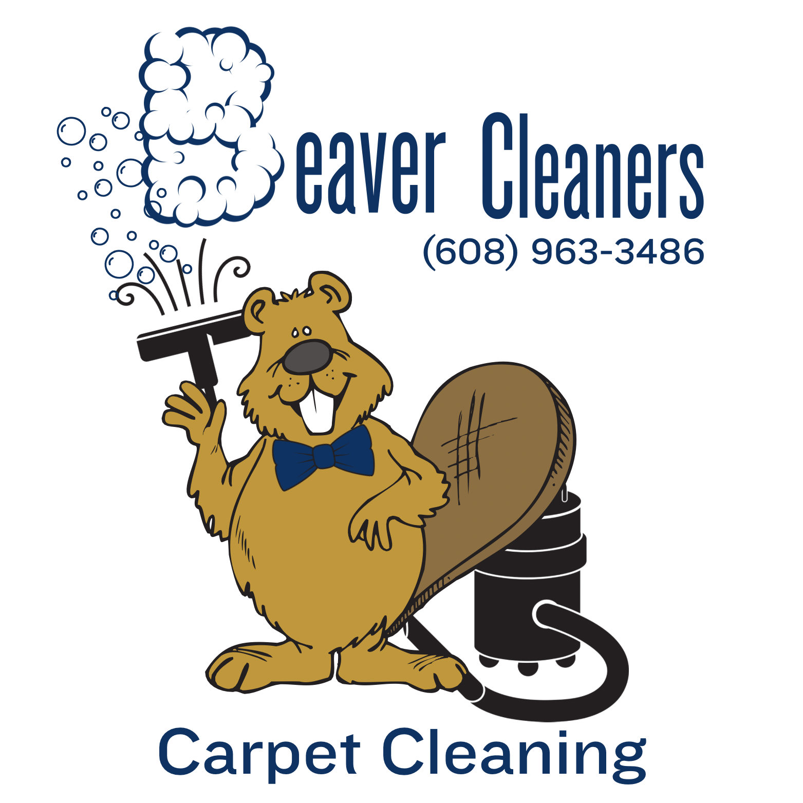 Beaver Cleaners Carpet Cleaning - Reedsburg Wisconsin